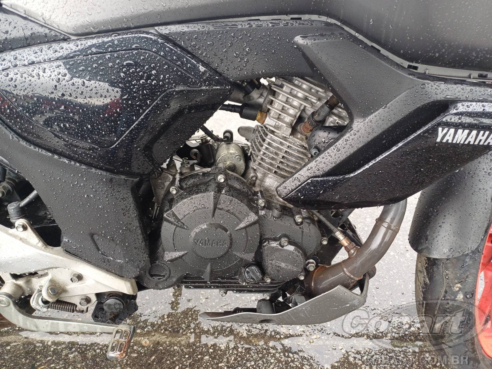 Yamaha Fz15 2025 — foto 5