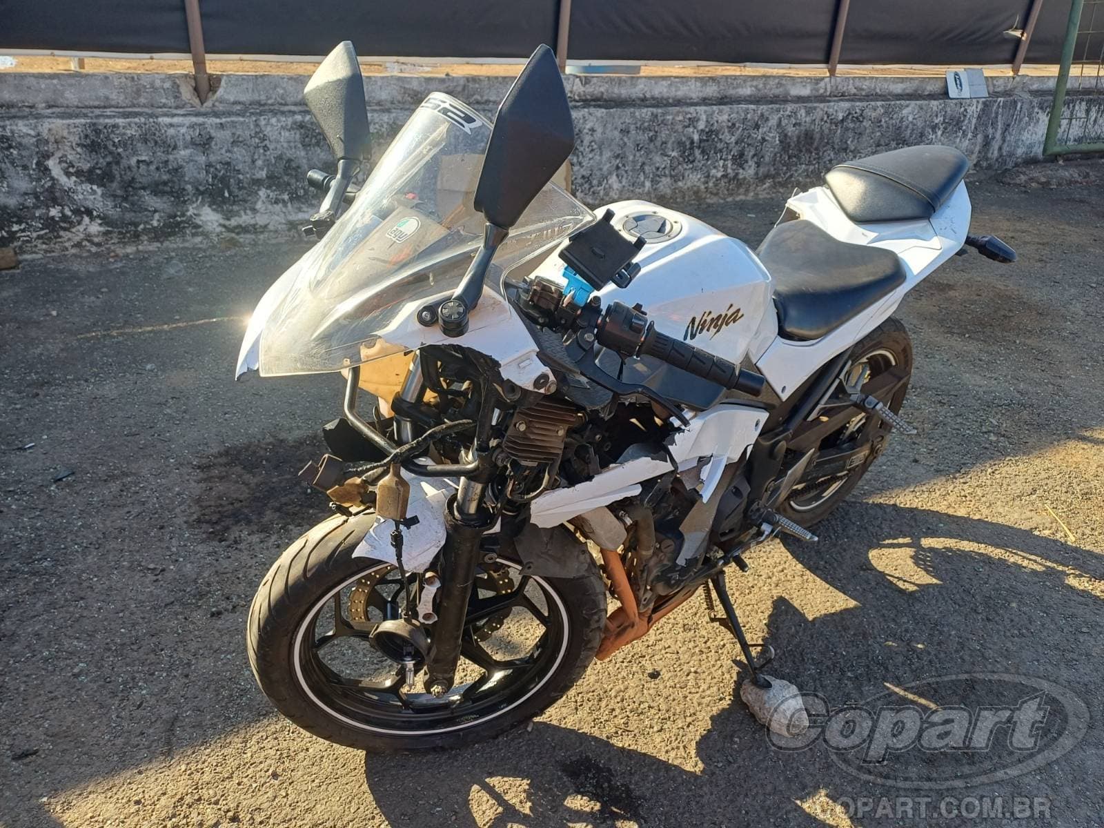 Kawasaki Ninja 300 2013 — foto 2