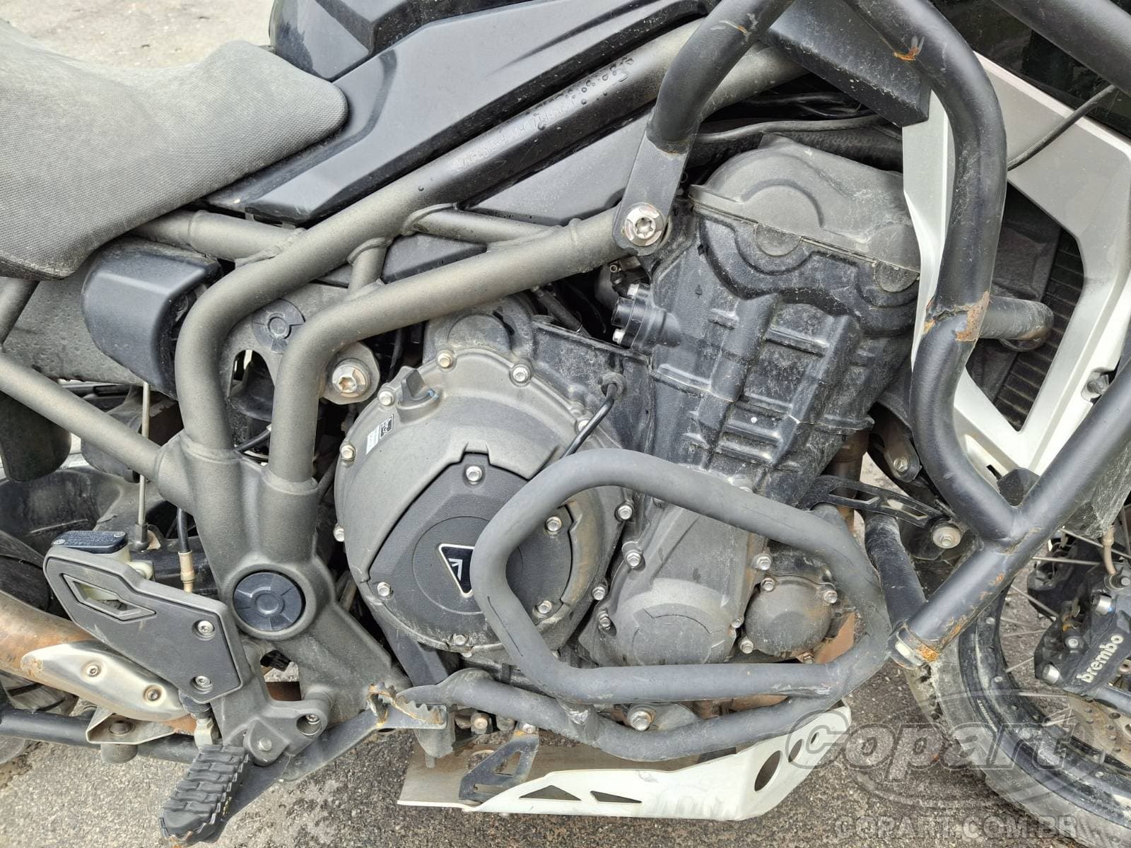 Triumph Tiger 2017 — foto 5