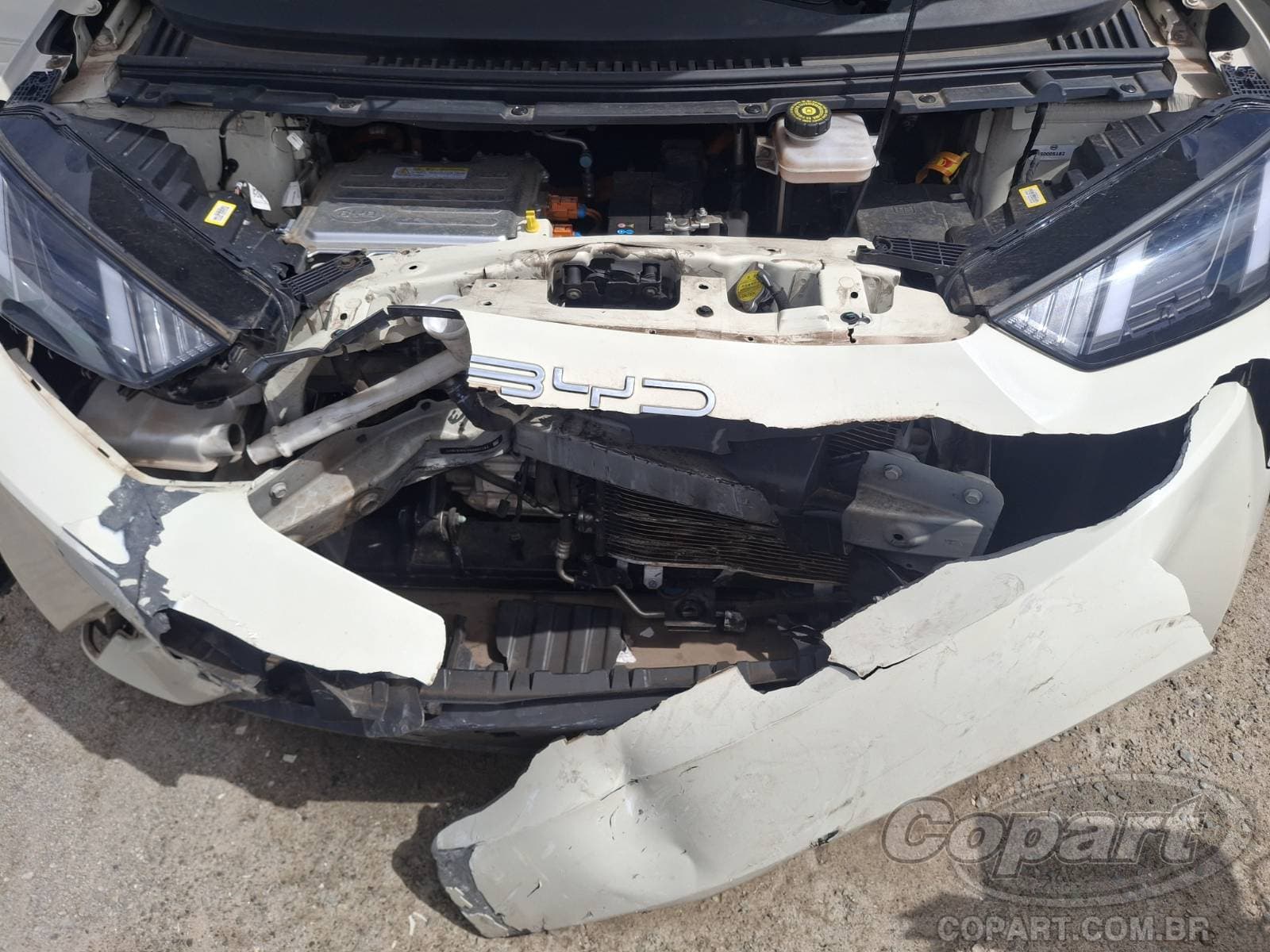BYD Dolphin Mini 2025 — foto 7