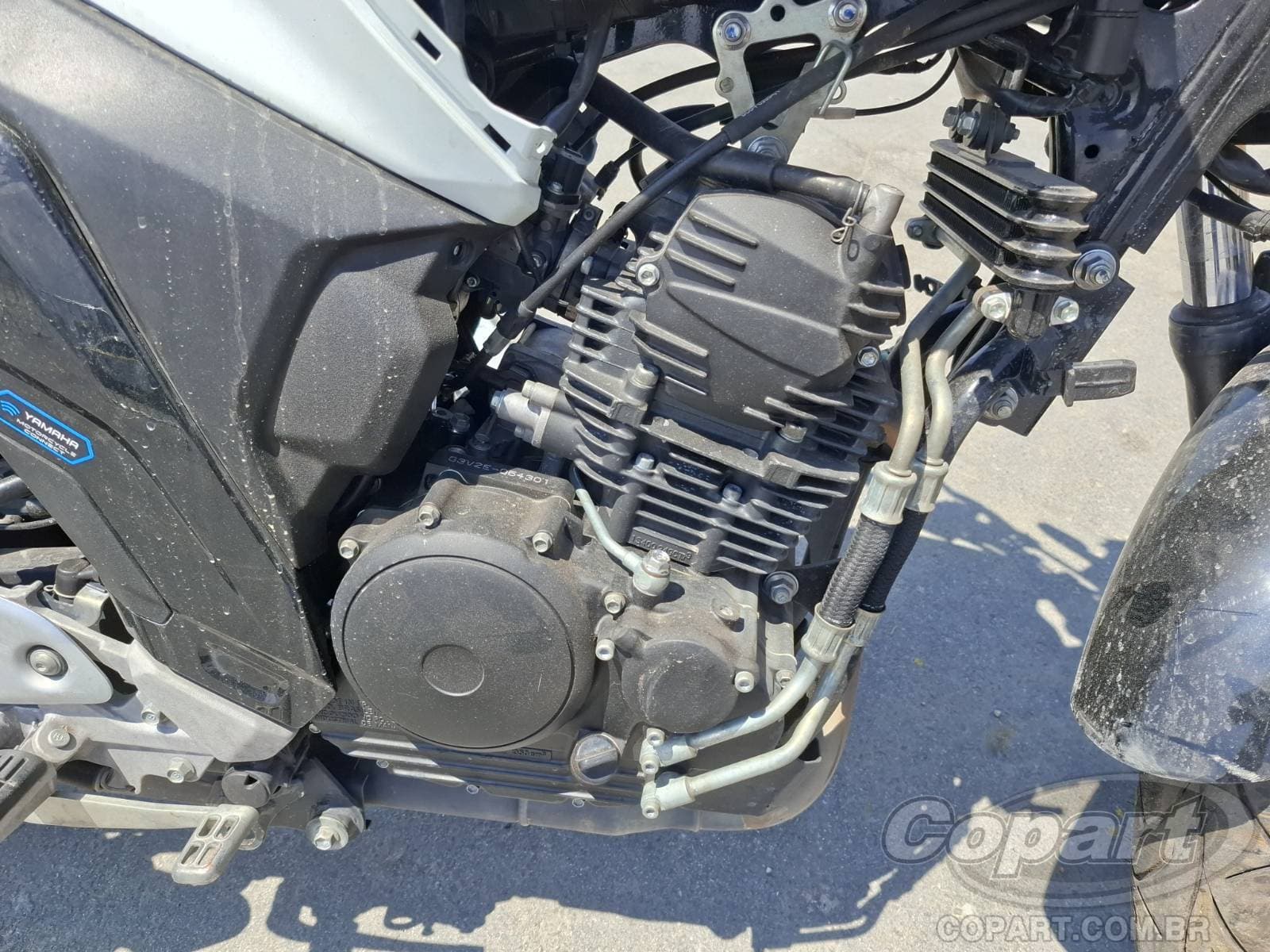 Yamaha Fz25 Fazer 2026 — foto 5
