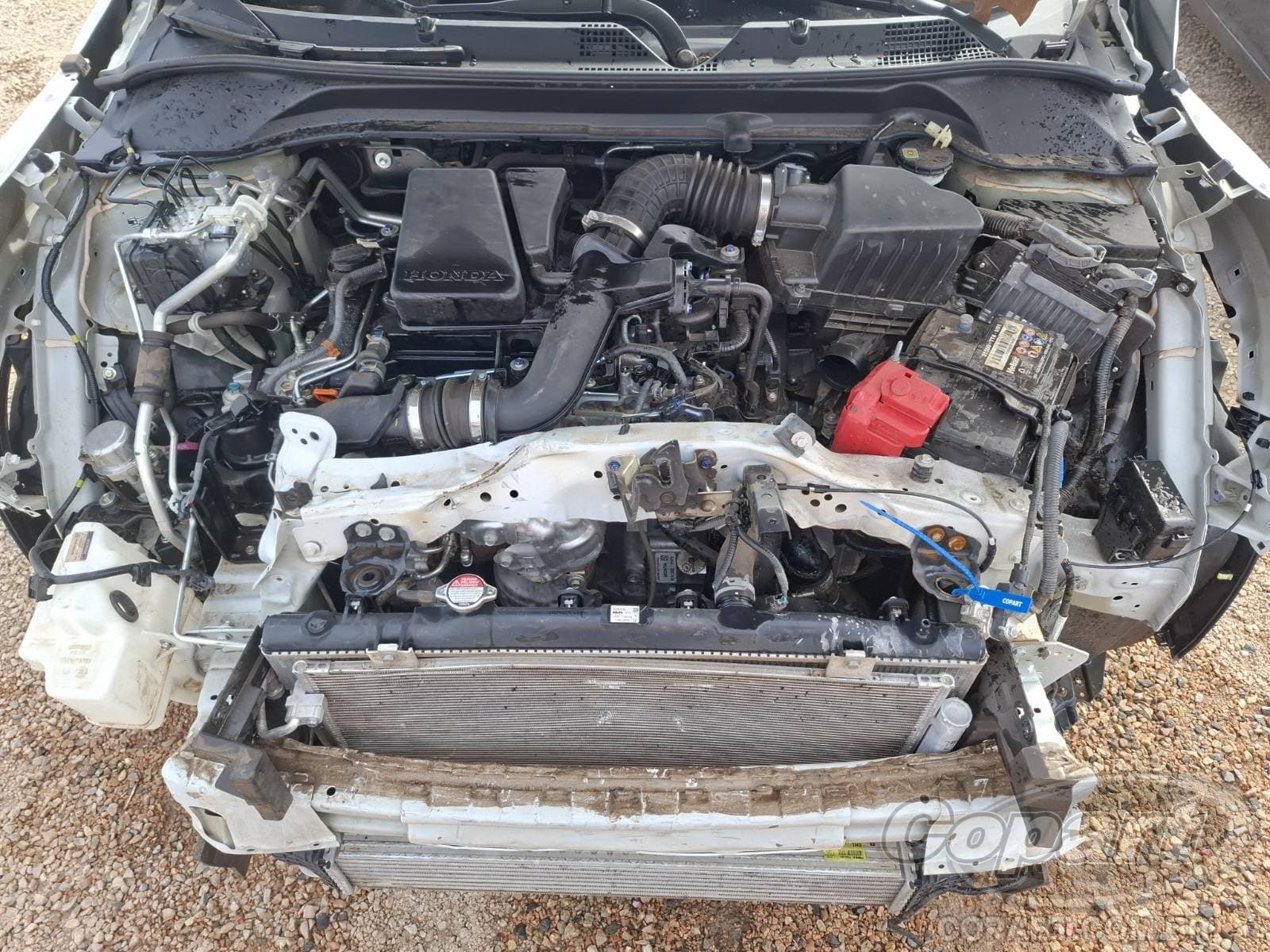 Honda Hr-v 2024 — foto 7