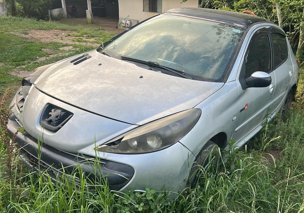 Peugeot 207 5P 2010
