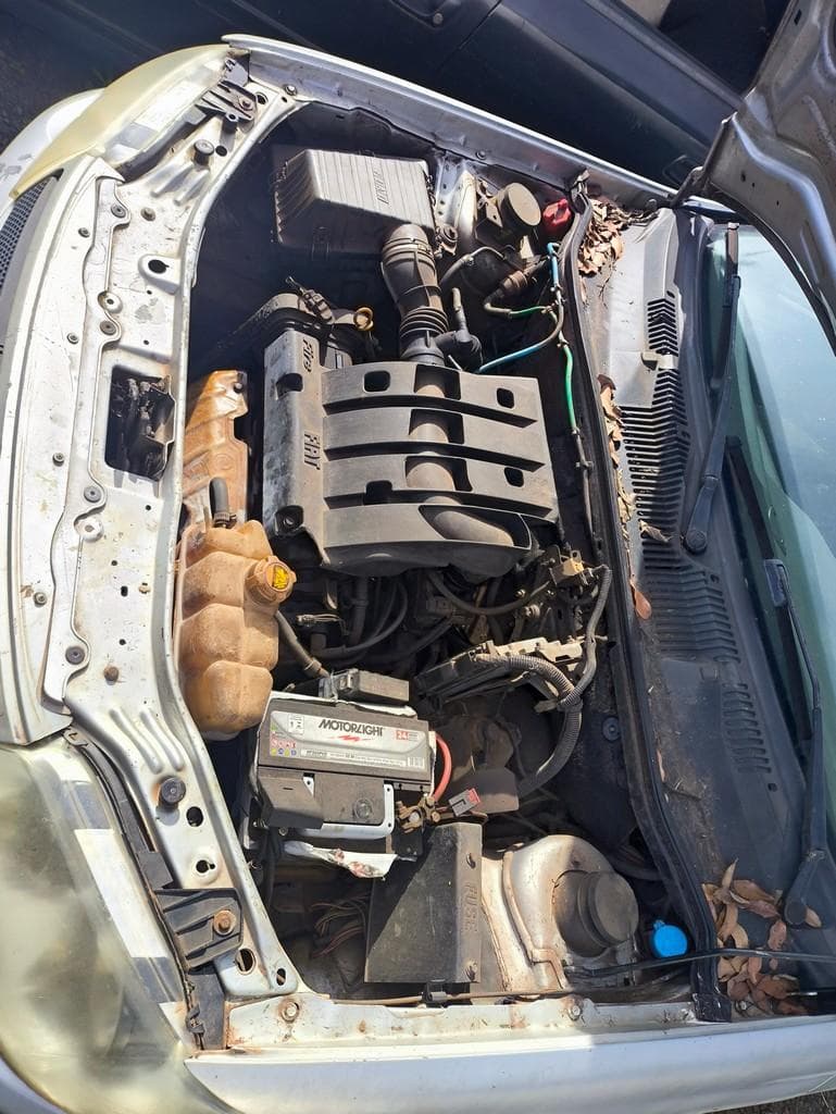 Fiat Palio Fire Economy, 2009 — foto 2
