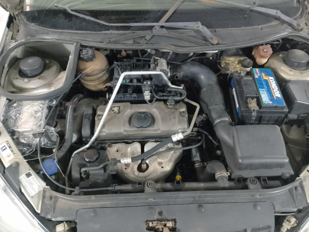Peugeot 206 Sw14 Pres FX 2007 — foto 6