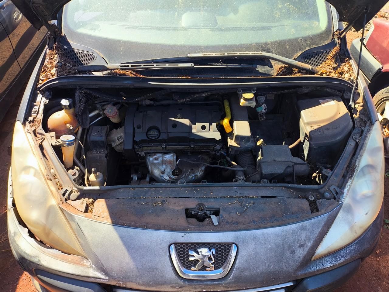Peugeot 307 16 FX PR, 2008 — foto 2