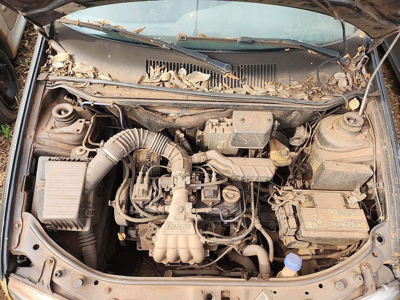 Fiat Palio EDX 1997 — foto 3