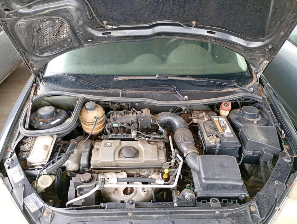 Peugeot 206 14 Presen FX 2007 — foto 6
