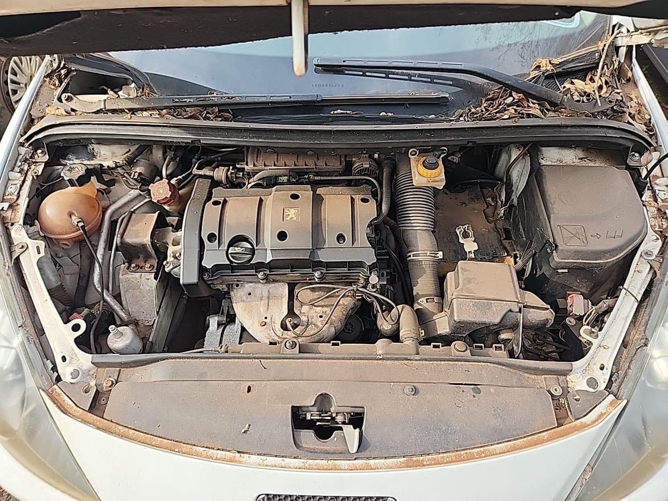 Peugeot 307 16 FX PR 2008 — foto 8