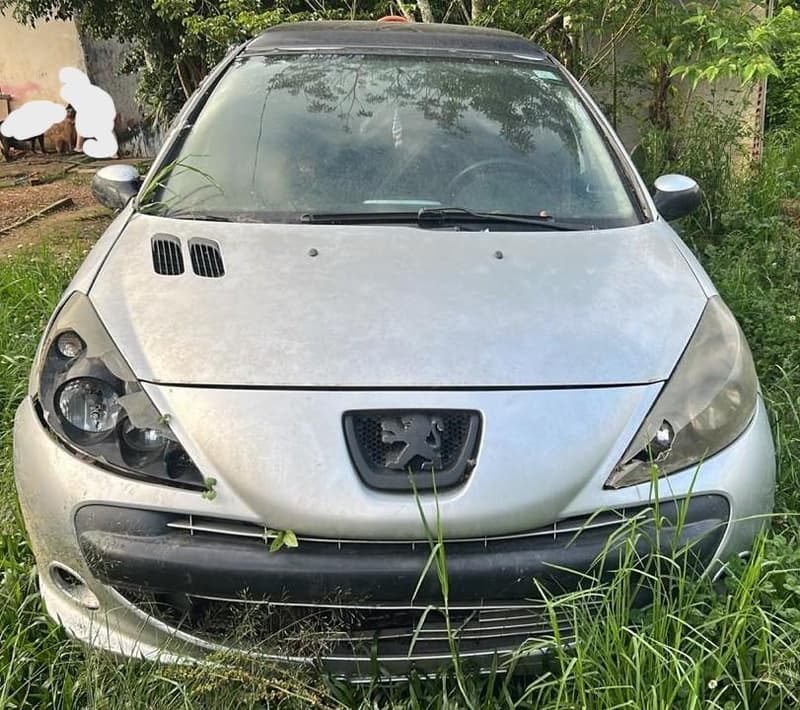Peugeot 207 5P 2010 — foto 6
