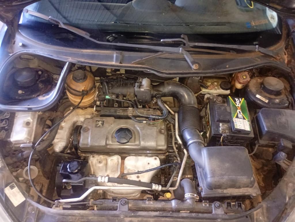 Peugeot 206 14 Moonli FX 2008 — foto 6