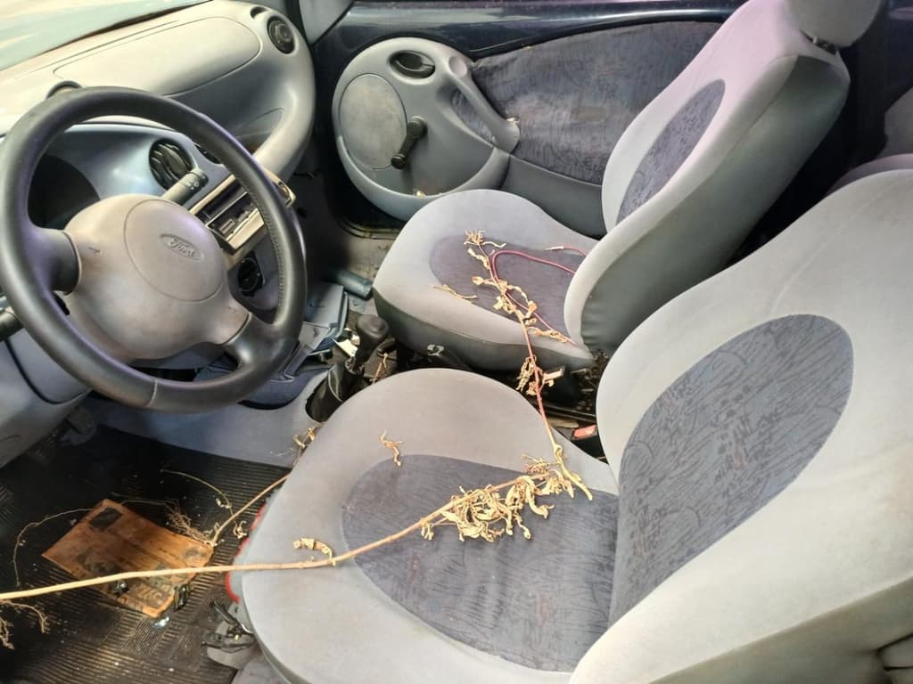 Ford KA 2000 — foto 5