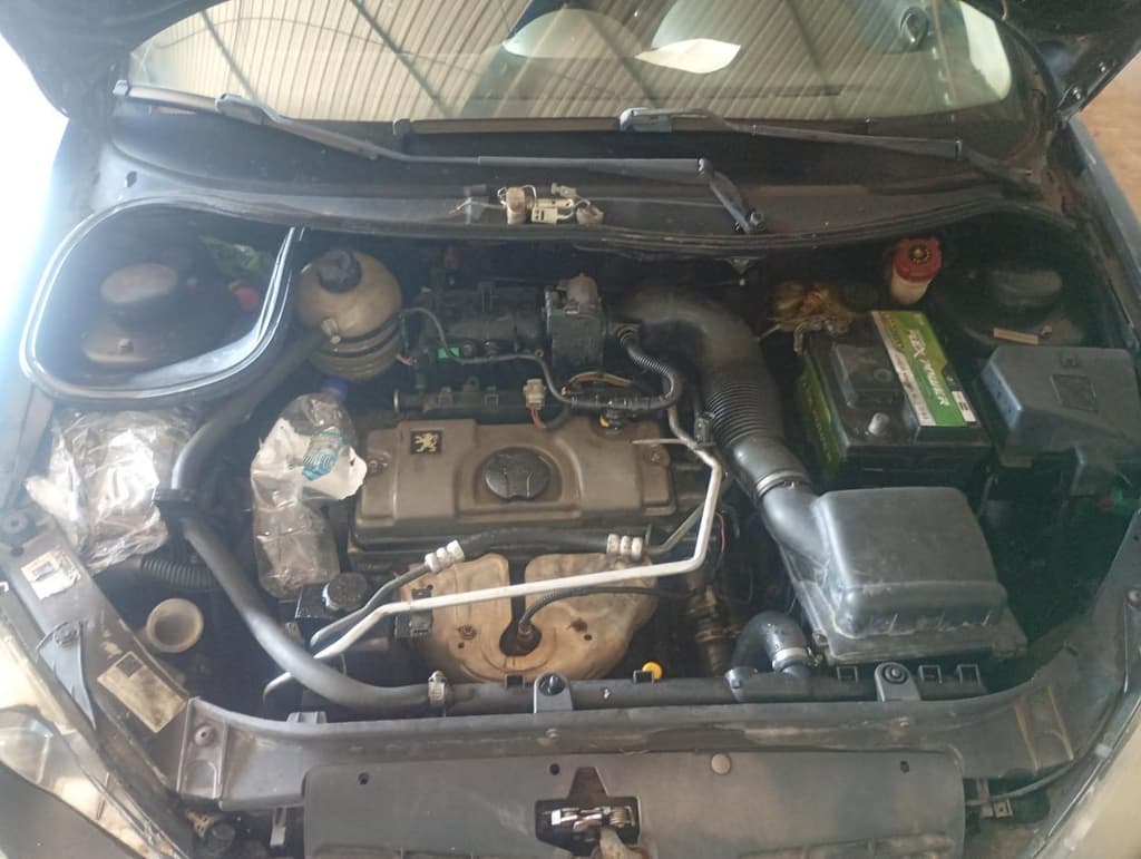 Peugeot 206 14 Feline FX 2007 — foto 6