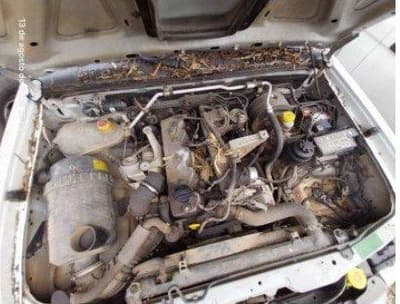 Nissan Frontier Cabine Dupla 4x4, 2006 — foto 5