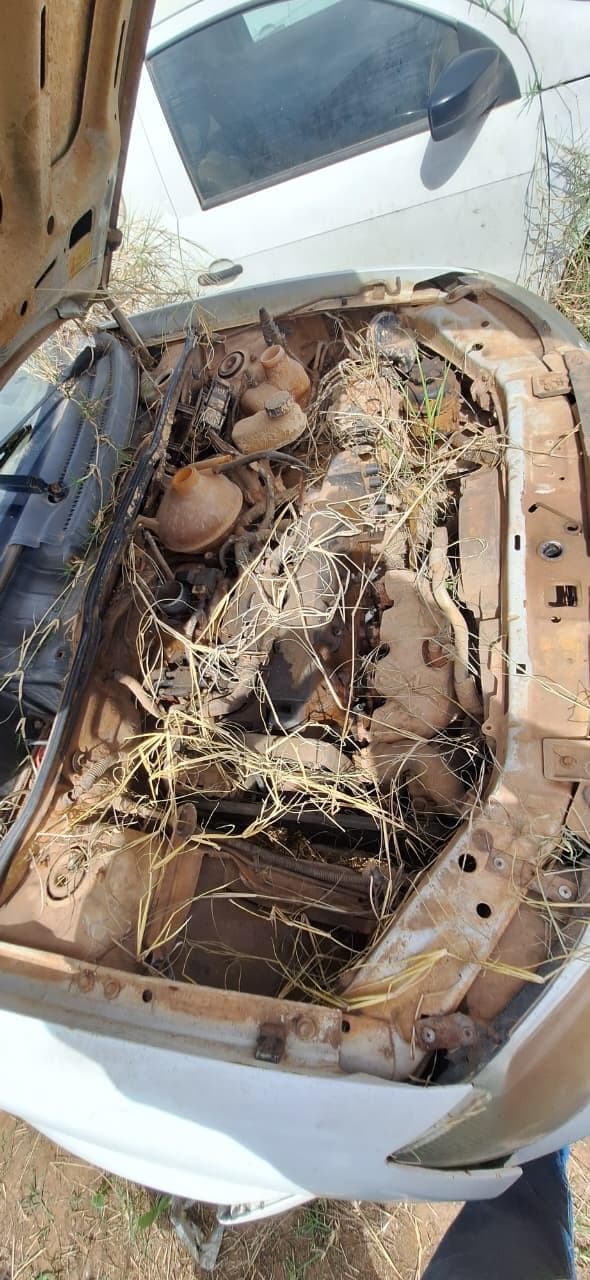 Chevrolet Classic 2016 — foto 3
