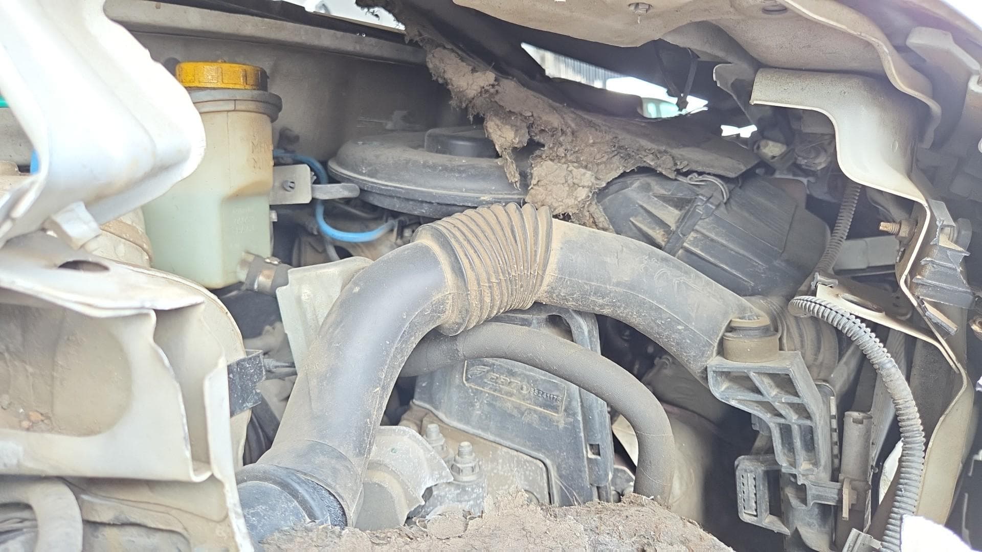Fiat UNO Economy de 2016 — foto 6