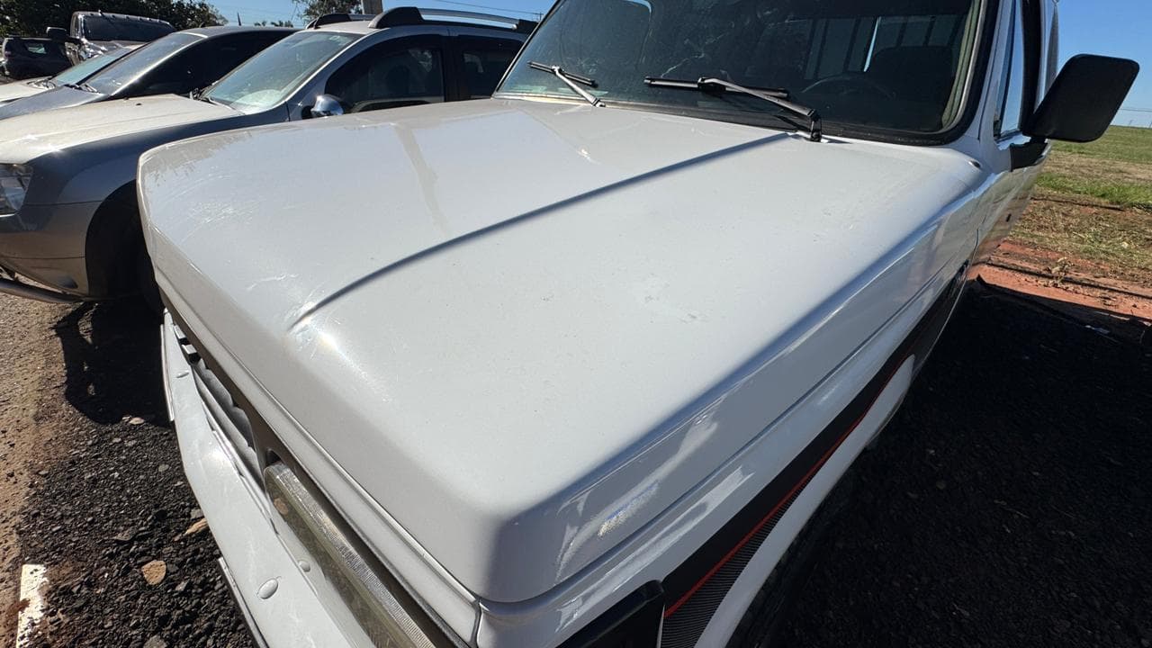 Chevrolet D20 1988 — foto 23