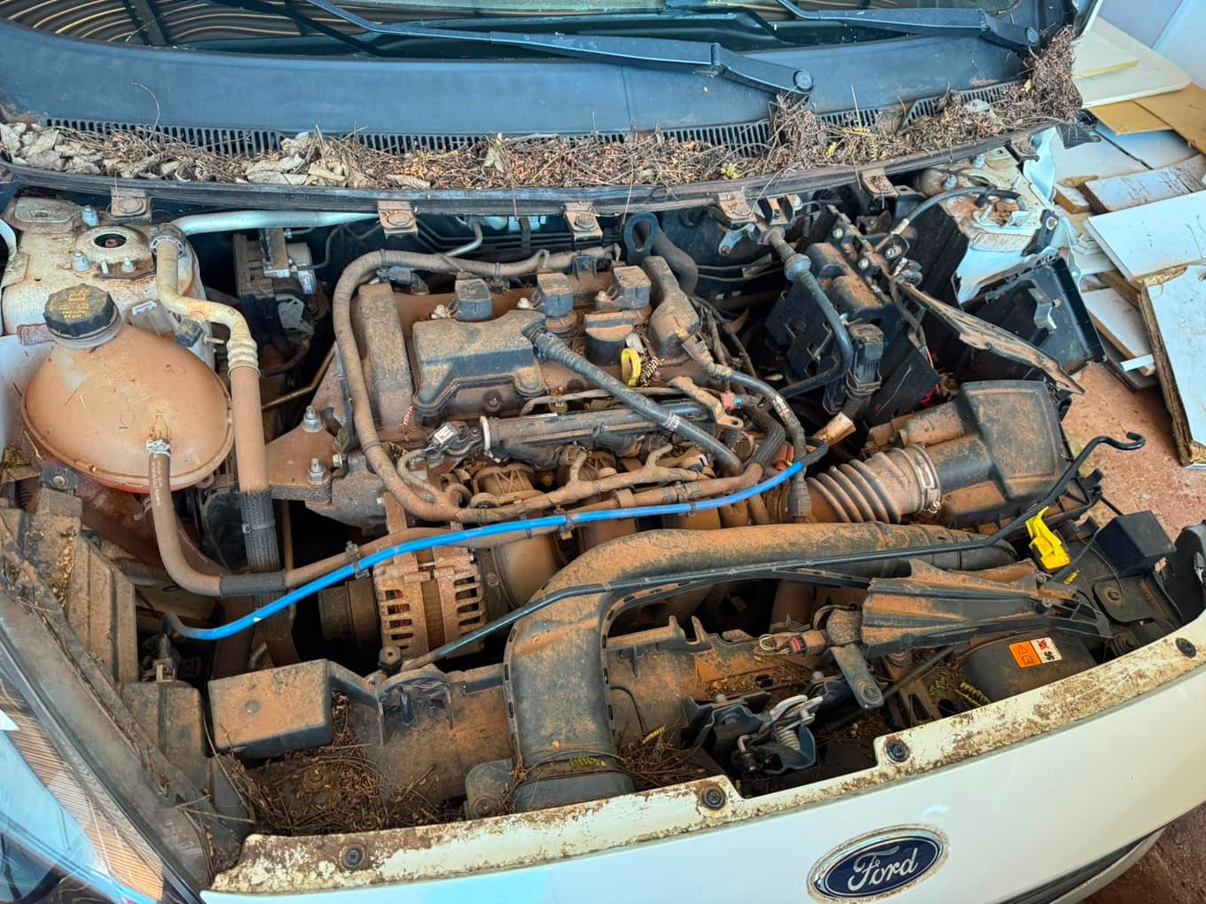 Ford Ka Se 1.5 Sd C - 2020 — foto 2