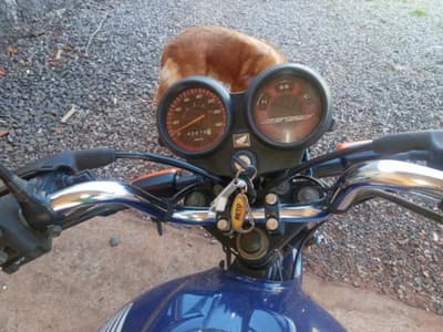 Honda CG 125 2013 — foto 13