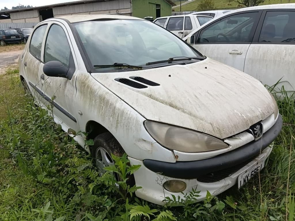 Peugeot Peugeot/206 Selection 2002 — foto 16