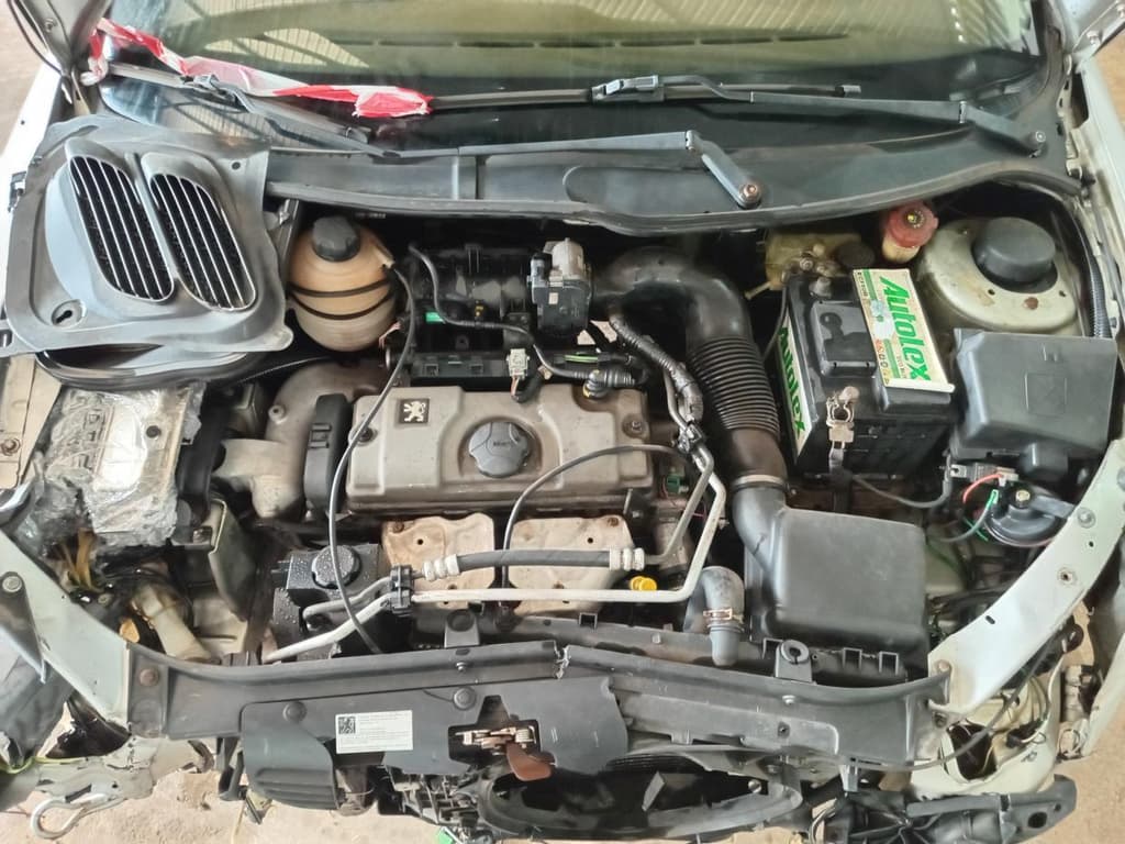 Peugeot 206 14 Presen FX 2007 — foto 2