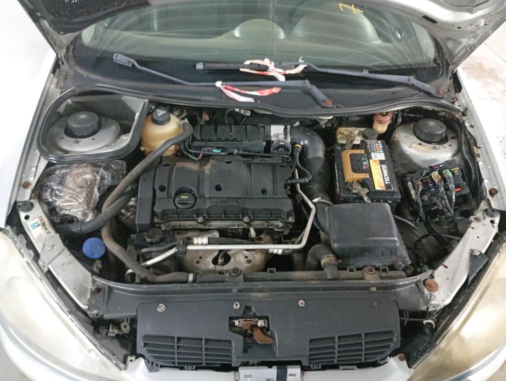 Peugeot 206 Sw16 Feli FX 2006 — foto 6