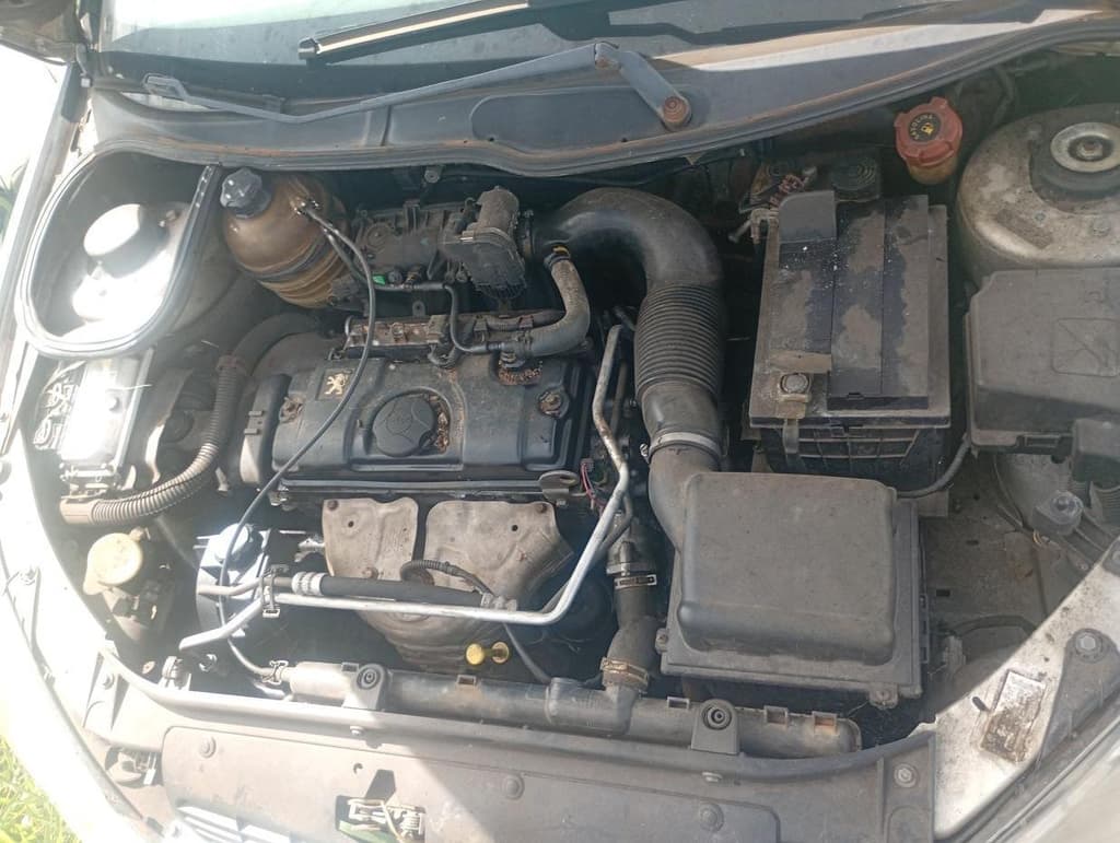 Peugeot 206 14 Feline FX 2006 — foto 6