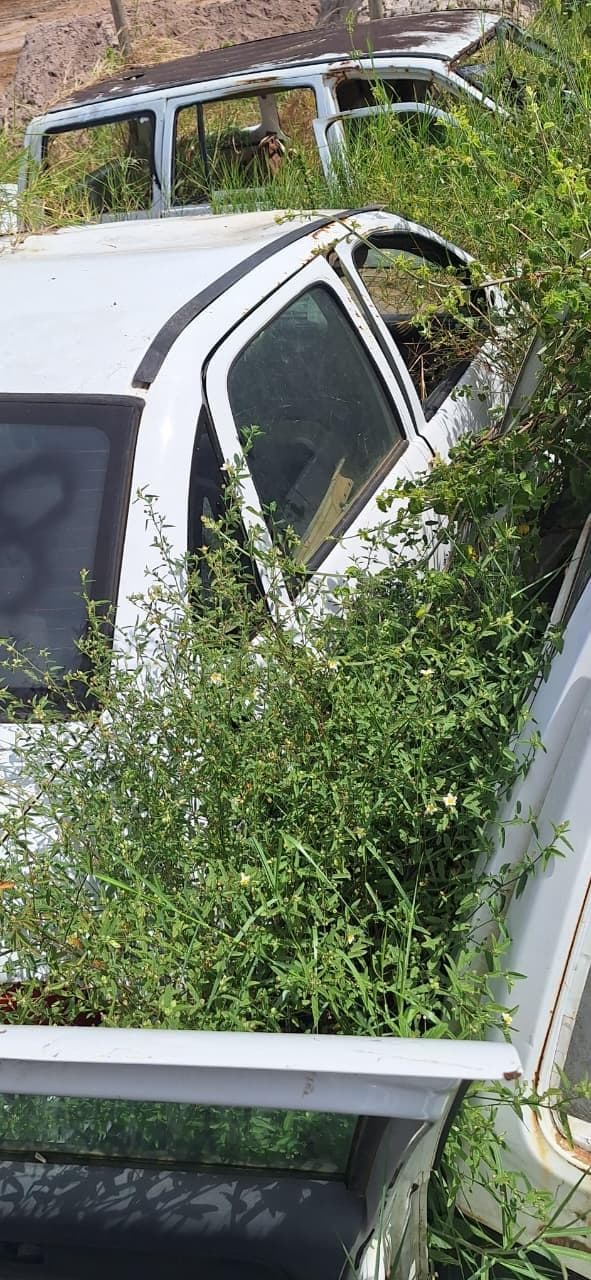 Fiat Palio 2015 — foto 12