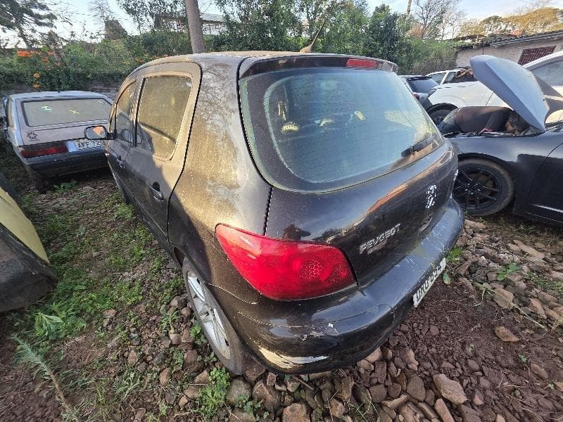 Peugeot 307 20A Feline 2005 — foto 3
