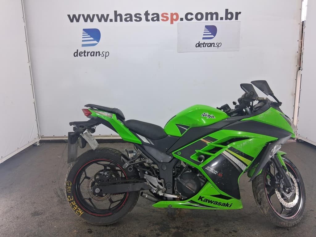 Kawasaki Ninja 300 ABS 2014, verde