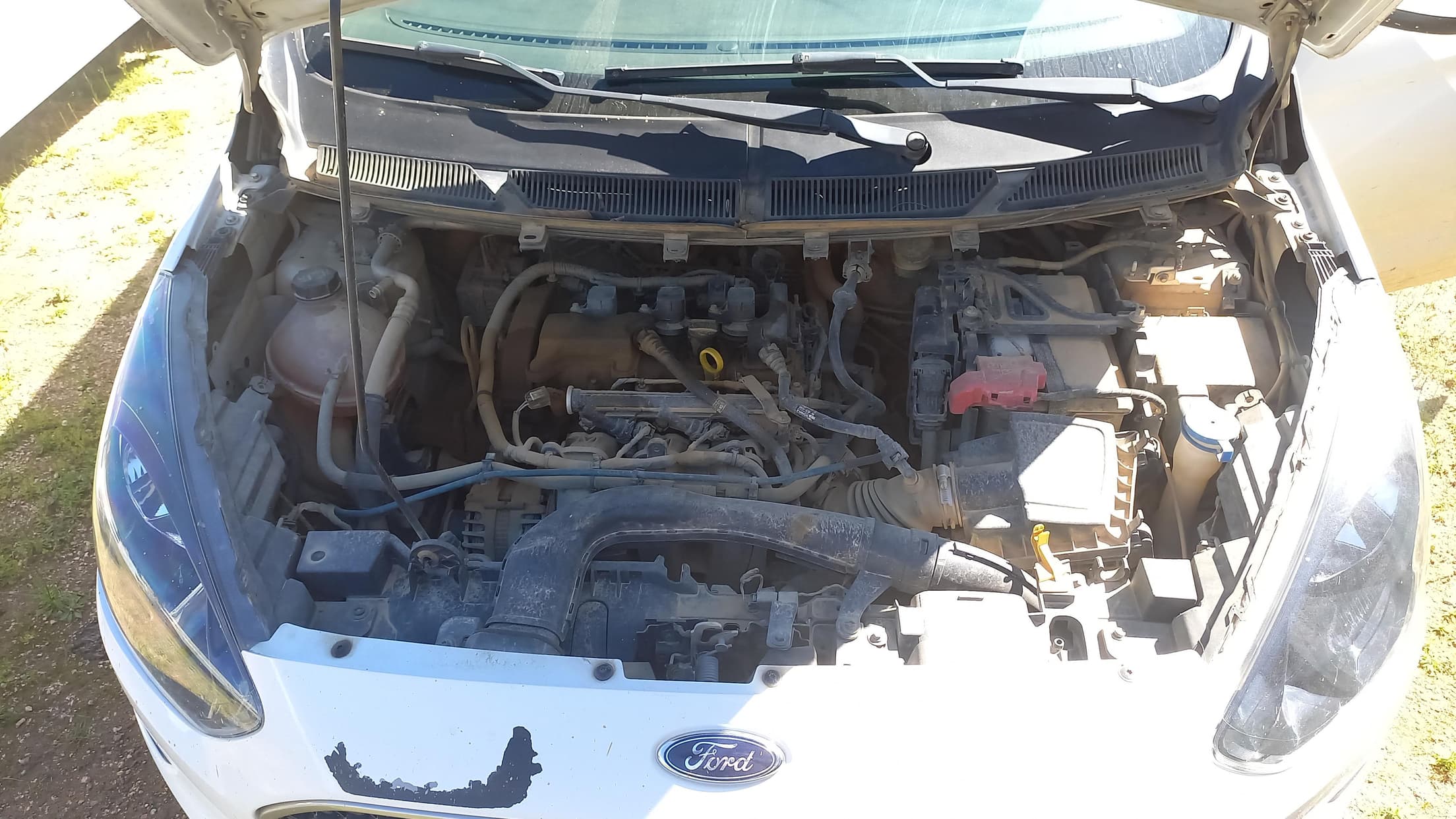 Ford KA SE 1.5 HA C 2019 — foto 5