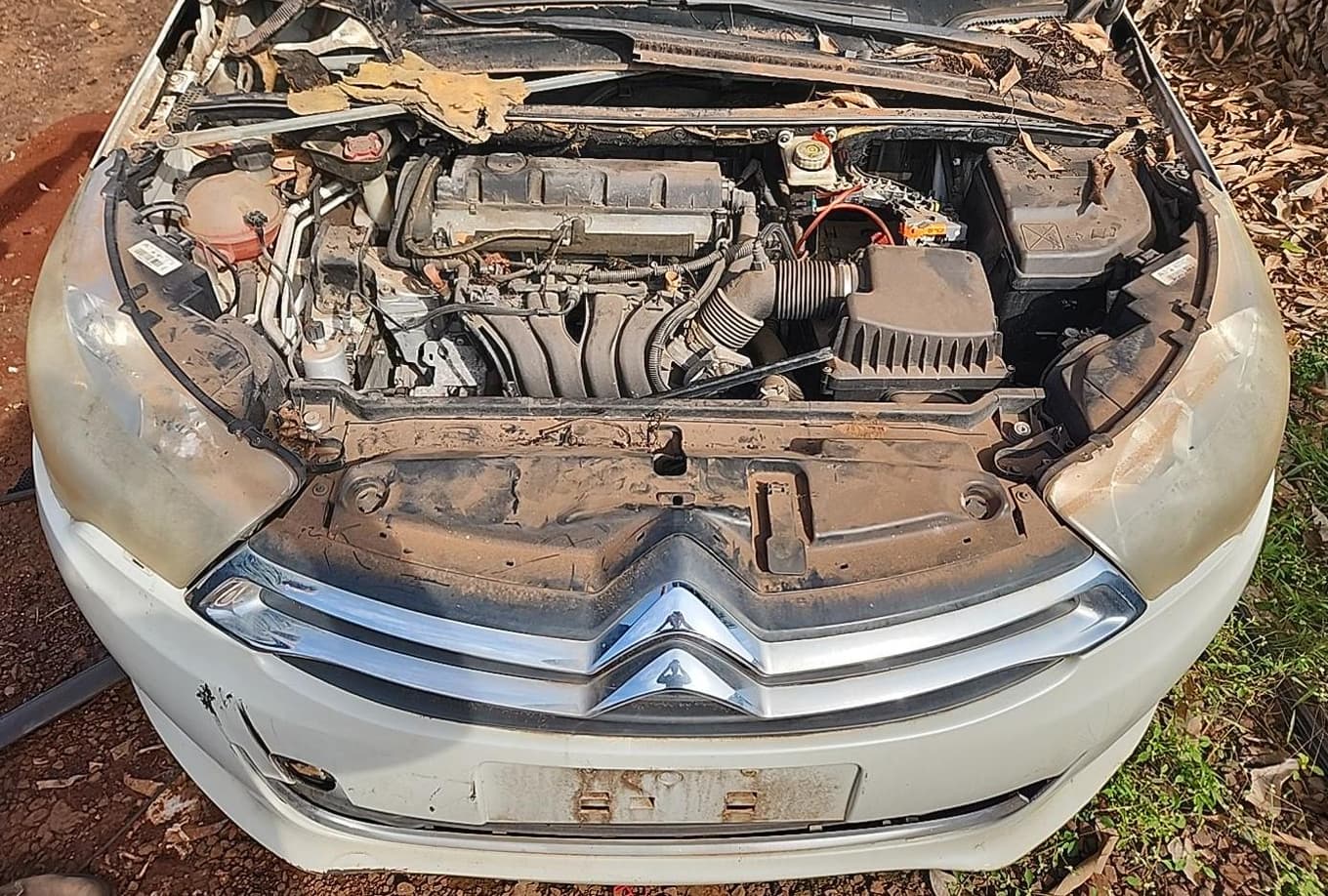 Citroën C4L A2 L Tend 2014 — foto 2