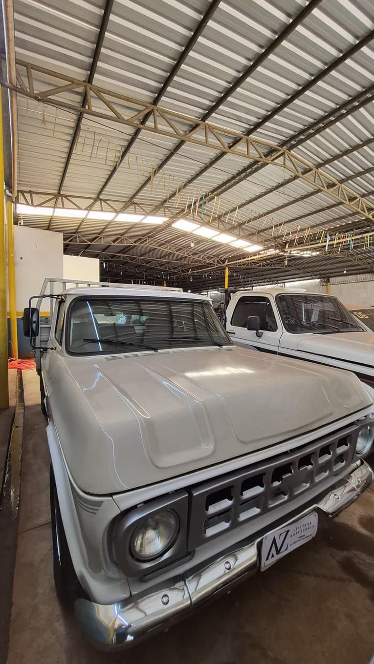 Chevrolet D10 1000 1984 — foto 13