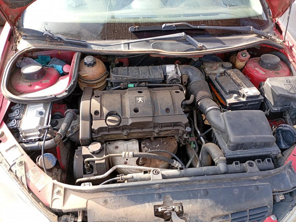 Peugeot 206 Sw16 Esca FX 2008 — foto 6
