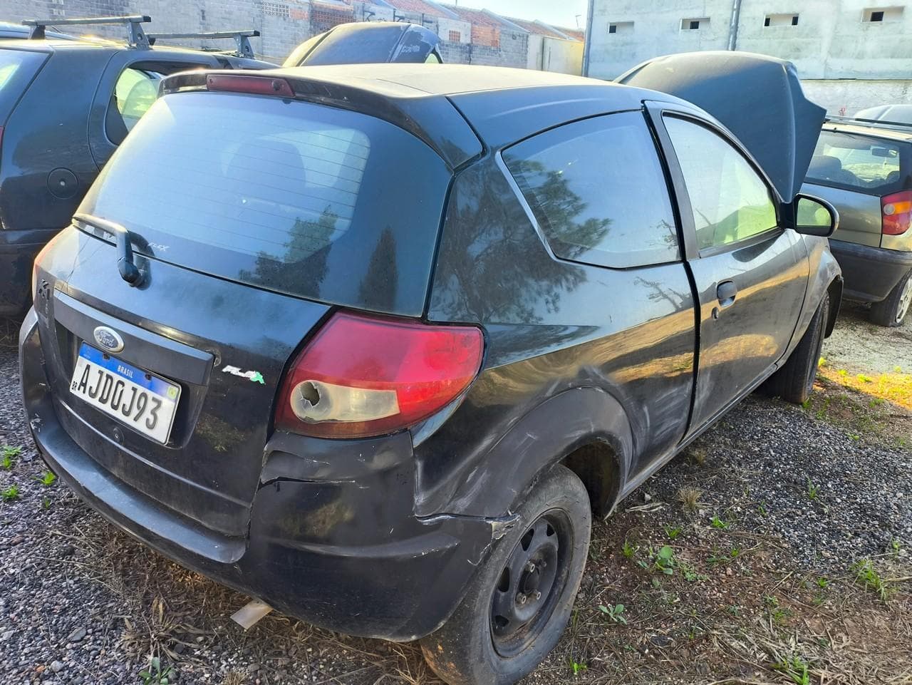 KA Flex - Ford, 2009 — foto 4