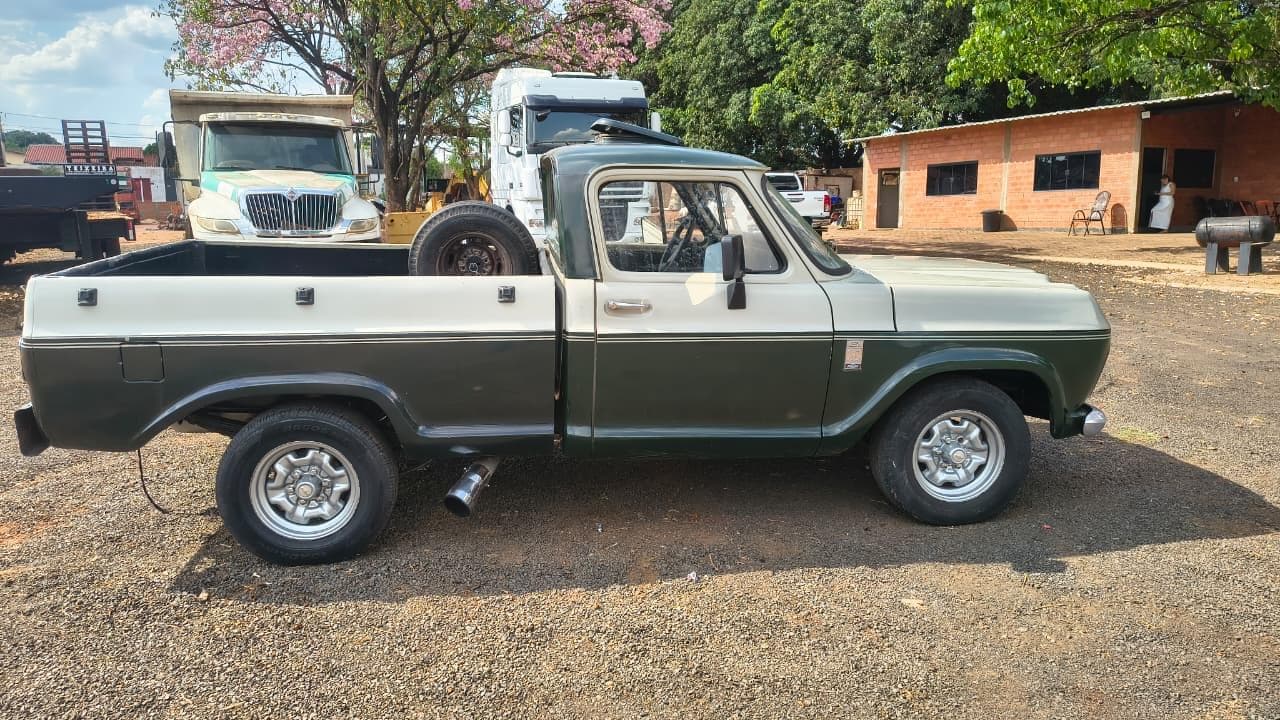 Chevrolet D10 1984 — foto 8