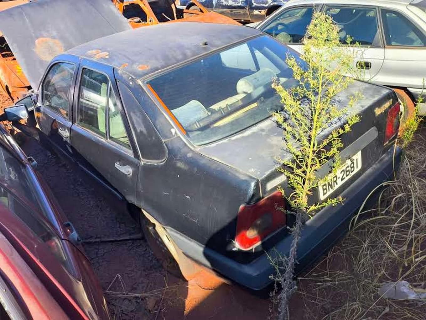 Fiat Tempra Ouro 16v, 1993 — foto 2