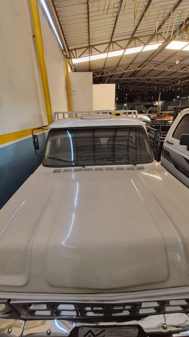 Chevrolet D10 1000 1984 — foto 5