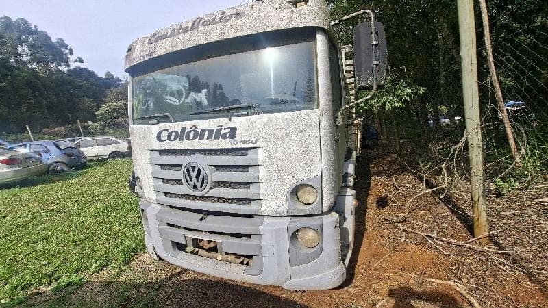 Volkswagen 15.180 CNM 2009
