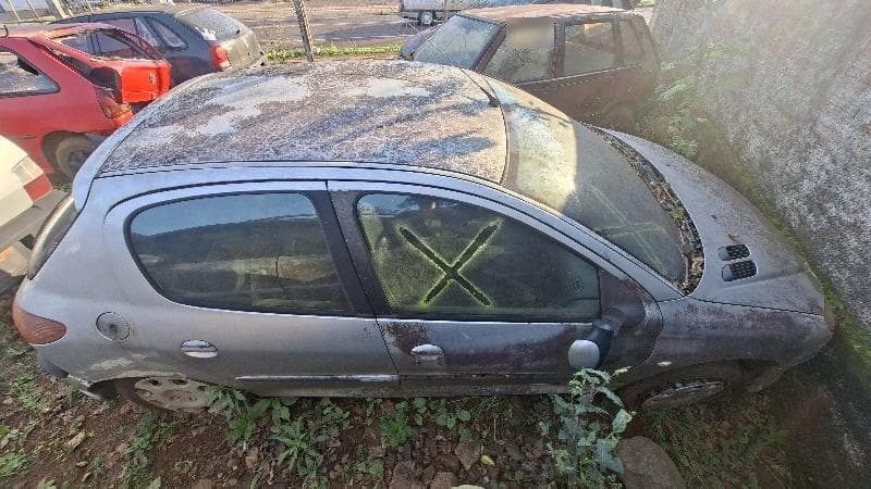 Peugeot 206 14 Presen FX 2008 — foto 6