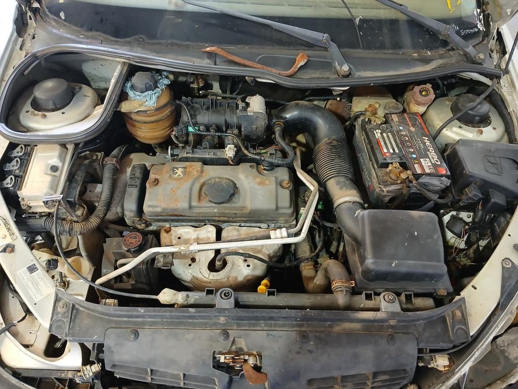 Peugeot 206 Sw14 Pres FX 2007 — foto 2