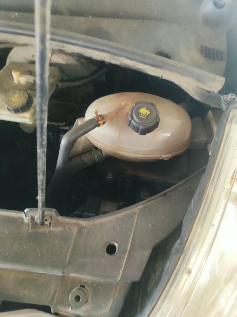 Renault M Revescap 2020 — foto 10