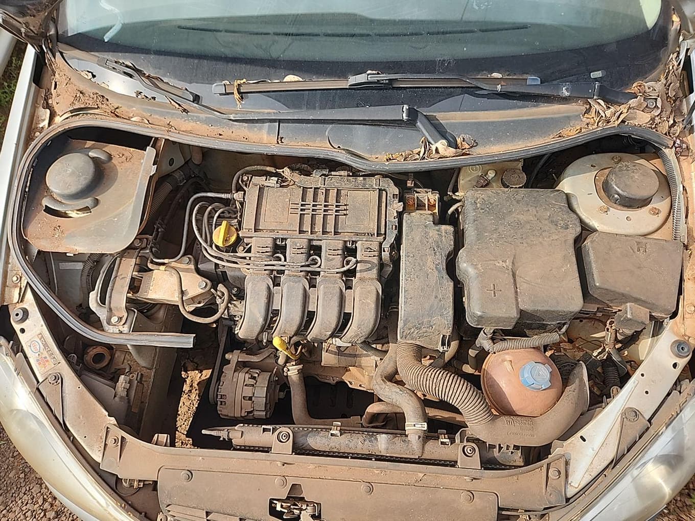 Peugeot 206 10 Sensat 2004 — foto 2