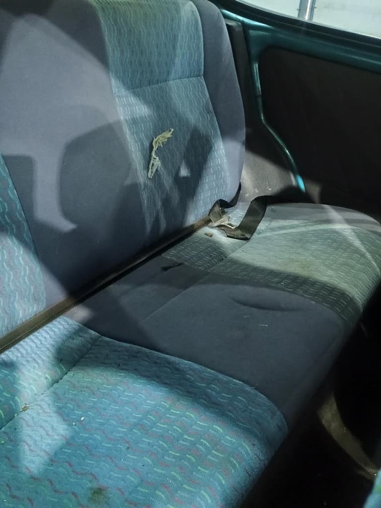 Fiat Palio 1997 — foto 1