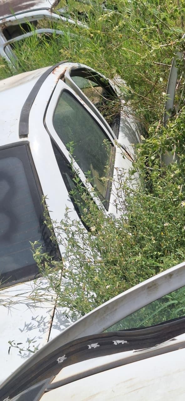 Fiat Palio 2015 — foto 4