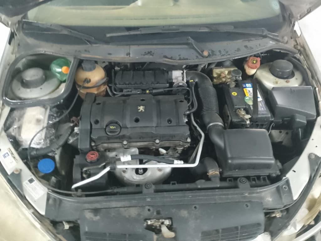Peugeot 206 Sw16 Feli FX 2006 — foto 6