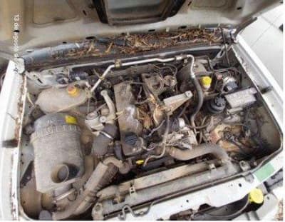 Nissan Frontier Cabine Dupla 4x4, 2006 — foto 4