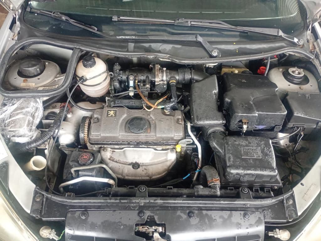 Peugeot Peugeot 206 Passion 2000 — foto 1