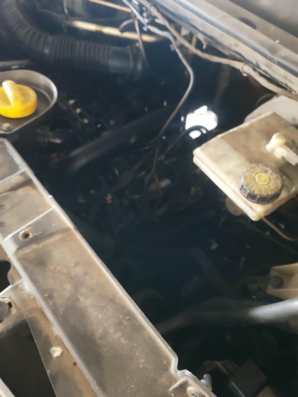 Renault M Revescap 2020 — foto 20