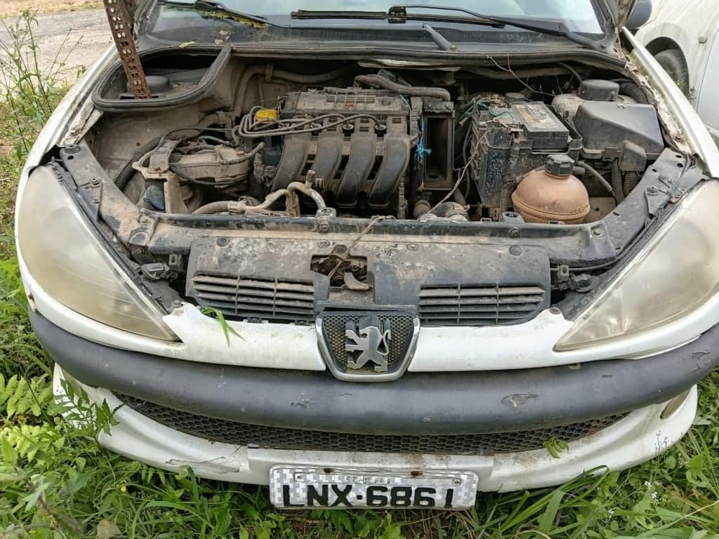 Peugeot Peugeot/206 Selection 2002 — foto 1